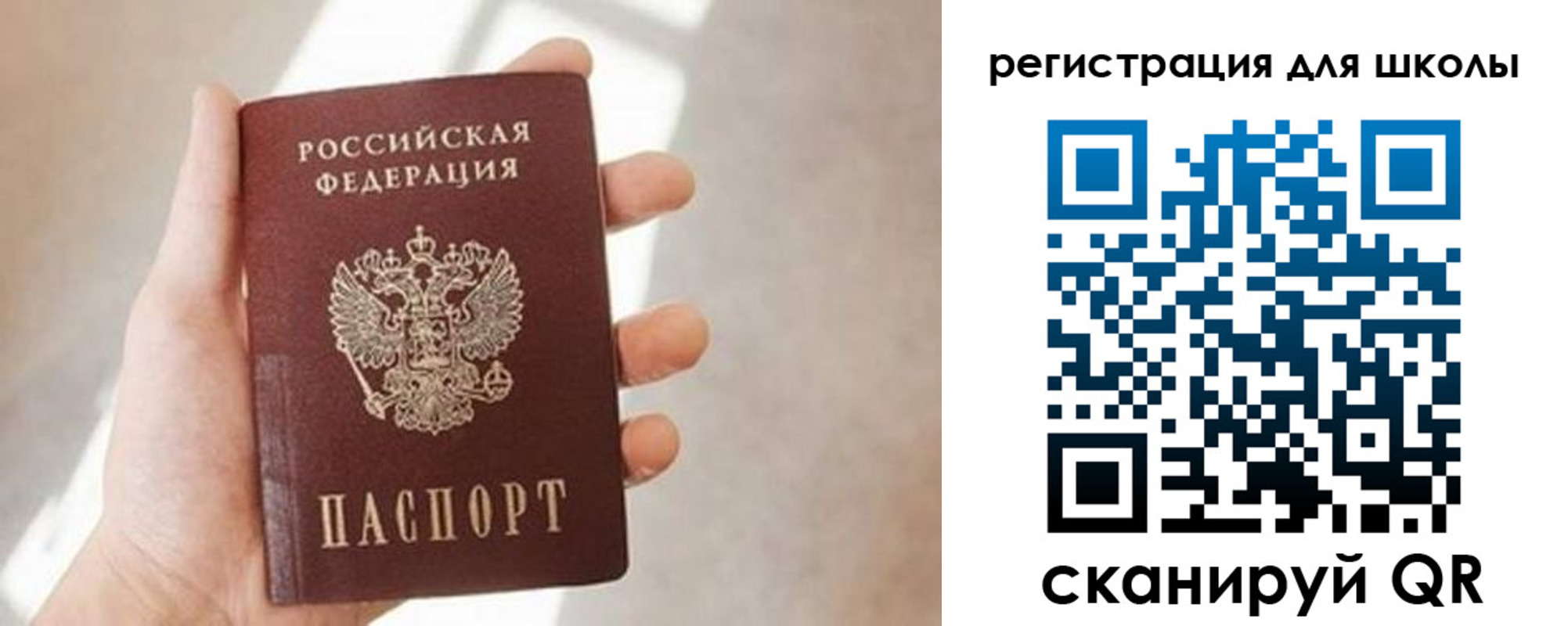 найти адрес прописки в Светлом